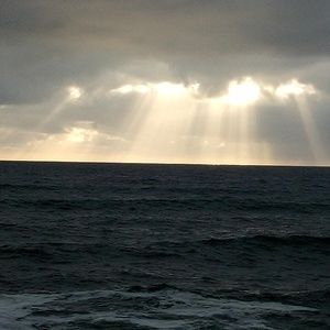 Meet your Posher, Leonor